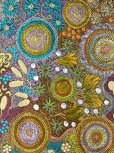 Load image into Gallery viewer, &quot;Budgerigar Dreaming &amp; Bush Tucker&quot; Julieanne Nungurrayi Turner 76cm x 120cm *
