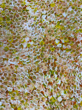 Load image into Gallery viewer, &quot;Bush Plums&quot; Bessie Pitjara 153cm x 94cm
