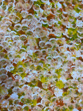 Load image into Gallery viewer, &quot;Bush Plums&quot; Bessie Pitjara 153cm x 94cm
