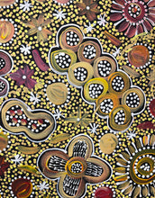 Load image into Gallery viewer, &quot;My Country&quot; Rochelle Bird Mbitjana 97cm x 40cm
