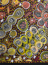 Load image into Gallery viewer, &quot;My Country&quot; Rochelle Bird Mbitjana 97cm x 40cm
