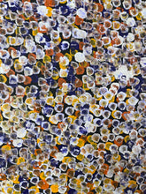 Load image into Gallery viewer, &quot;Bush Plums&quot; Bessie Pitjara 96cm x 49cm
