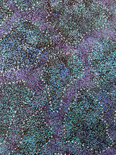 Load image into Gallery viewer, &quot;Bush Plum&quot; Roseanne Morton Petyarre 200cm x 109cm
