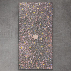 "Bush Medicine, Wild Bush Seeds, Bush Seeds" Louise Daniels 196cm x 100cm