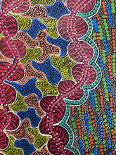 Load image into Gallery viewer, &quot;Ngurlu (Seed Dreaming)&quot; Vivienne Nakamarra Kelly 117cm x 91cm
