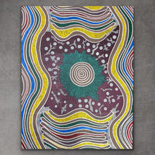 Load image into Gallery viewer, &quot;Ngalyarrpa manu Warnirri&quot; Alice Granites Napanangka 116cm x 93cm
