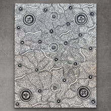 Load image into Gallery viewer, &quot;Bush Bean&quot; Nancy Martin Napangarti 60cm x 90cm
