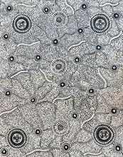 Load image into Gallery viewer, &quot;Bush Bean&quot; Nancy Martin Napangarti 60cm x 90cm
