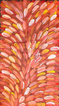 Load image into Gallery viewer, &quot;Bush Medicine Leaves&quot; Esther Haywood 98cm x 176cm *
