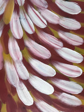 Load image into Gallery viewer, &quot;Bush Medicine Leaves&quot; Esther Haywood 108cm x 200cm
