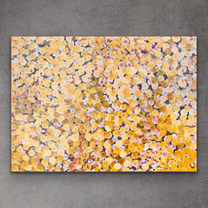 "Bush Plum" Stephen Martin Pitjara 72cm x 53cm