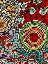 Load image into Gallery viewer, &quot;Budgerigar Dreaming and Bush Tucker story&quot; Julieanne Nungurrayi Turner 200cm x 131cm
