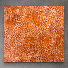 Load image into Gallery viewer, &quot;Bush Plum&quot; Stephen Martin Pitjara 92cm x 88cm *
