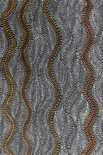 Load image into Gallery viewer, &quot;Seed Dreaming&quot; Marshall Jangala Robertson 78cm x 51cm
