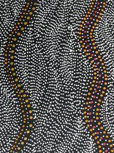 Load image into Gallery viewer, &quot;Seed Dreaming&quot; Marshall Jangala Robertson 78cm x 51cm
