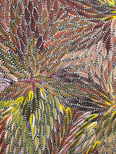 Load image into Gallery viewer, &quot;Bush Medicine Leaves&quot; Bernadine Johnson Kemarre 57cm x 93cm
