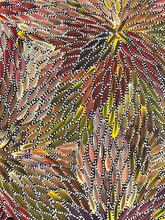 Load image into Gallery viewer, &quot;Bush Medicine Leaves&quot; Bernadine Johnson Kemarre 57cm x 93cm
