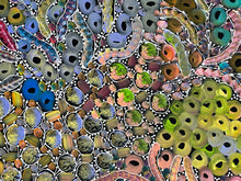 Load image into Gallery viewer, &quot;Yam Dreaming&quot; Rachael Nambula 199cm x 72cm (D)

