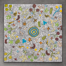 Load image into Gallery viewer, &quot;Bush Tucker&quot; Rowena Larry 60cm x 60cm
