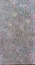 Load image into Gallery viewer, &quot;Bush Plum Seeds&quot; Roseanne Morton Petyarre 110cm x 200cm
