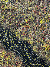 Load image into Gallery viewer, &quot;Bush Plum&quot; Roseanne Morton Petyarre 95cm x 109cm
