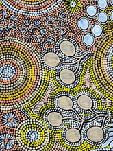 Load image into Gallery viewer, &quot;Budgerigar Dreaming&quot; Julieanne Nungurrayi Turner 145cm x 111cm
