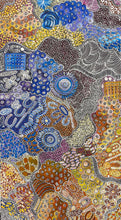 Load image into Gallery viewer, &quot;My Country (Utopia)&quot; Janet Golder Kngwarreye 149cm x 81cm
