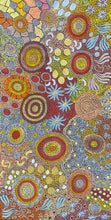 Load image into Gallery viewer, &quot;Budgerigar and Bush Tucker Story&quot; Julieanne Nungurrayi Turner 119cm x 69cm
