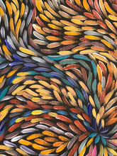 Load image into Gallery viewer, &quot;Bush Medicine Leaves&quot; Rachael Nambula 60cm x 60cm
