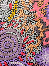 Load image into Gallery viewer, &quot;Grandmother Country&quot; Gabriella Possum Nungurrayi 116cm x 94cm
