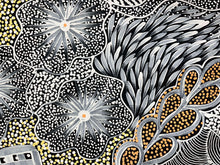 Load image into Gallery viewer, &quot;My Country (Utopia)&quot; Janet Golder Kngwarreye 93cm x 89cm
