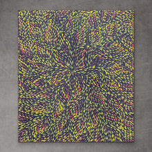 Load image into Gallery viewer, &quot;Bush Medicine Leaves&quot; Roseanne Morton 50cm x 42cm *
