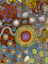 Load image into Gallery viewer, &quot;Budgerigar Story &amp; Bush Tucker&quot; Julieanne Nungurrayi Turner 204cm x 87cm
