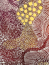 Load image into Gallery viewer, &quot;Alhalkere&quot; Janet Golder Kngwarreye 170cm x 95cm
