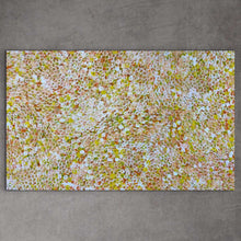 Load image into Gallery viewer, &quot;Bush Plums&quot; Bessie Pitjara 153cm x 94cm
