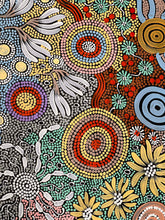 Load image into Gallery viewer, &quot;Budgerigar Dreaming&quot; Julieanne Nungurrayi Turner 202cm x 114cm
