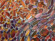 Load image into Gallery viewer, &quot;Yam Dreaming&quot; Rachael Nambula 120cm x 62cm
