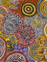 Load image into Gallery viewer, &quot;Budgerigar Dreaming &amp; Bush Tucker&quot; Julieanne Nungurrayi Turner 143cm x 93cm
