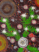 Load image into Gallery viewer, &quot;Bush Medicine&quot; Lilita Tilmouth 61cm x 97cm
