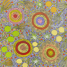 Load image into Gallery viewer, &quot;Budgerigar Dreaming&quot; Julieanne Nungurrayi Turner 40cm x 40cm
