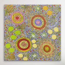 Load image into Gallery viewer, &quot;Budgerigar Dreaming&quot; Julieanne Nungurrayi Turner 40cm x 40cm
