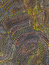 Load image into Gallery viewer, &quot;Bush Flower&quot; Joy Pitjara 108cm x 205cm
