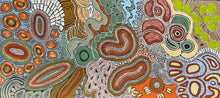 Load image into Gallery viewer, "Budgerigar Story" by Julieanne Turner Nungurrayi - close-up detail, original Aboriginal painting

