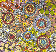 Load image into Gallery viewer, "Budgerigar Dreaming" by Julieanne Nungurrayi Turner - detail view of Aboriginal painting, 61cm x 56cm
