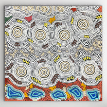 Load image into Gallery viewer, "Budgerigar Dreaming" original Aboriginal painting by Gwenda Nungurrayi Turner, 61cm x 60cm - authentic Indigenous Australian artwork
