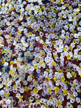Load image into Gallery viewer, Close up Bessie Pitjara Bush Plum original painting

