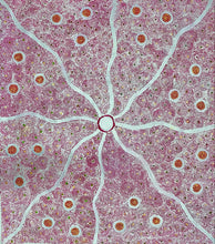 Load image into Gallery viewer, &quot;Bush Onion&quot; Nancy Martin Napangarti 152cm x 134cm
