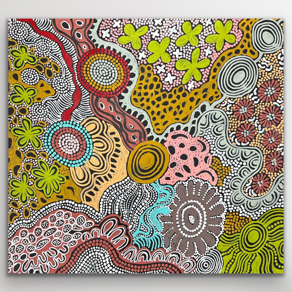 "Wild Seeds (Acacia)" Julieanne Turner Nungurrayi 59cm x 54cm