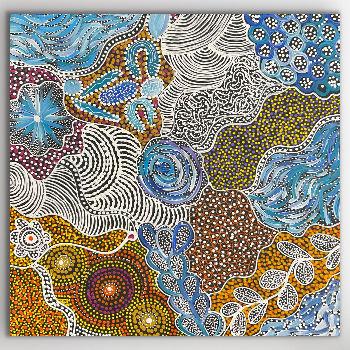 "My Country (Utopia)" Janet Golder Kngwarreye 60cm x 60cm