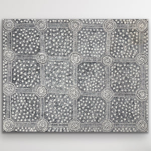 "My Homeland, Blackwater Rockhole (Papunya)" Debra Nangala McDonald 201cm x 155cm